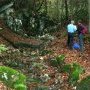 D'un seul coup le lit devient sec ! plus d'eau (3)