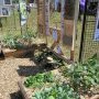 Les maisons à insectes