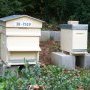 Le rucher est prêt pour l'hiver !