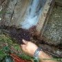 On en profite pour enlever les racines