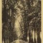L'allée de la Balme au siècle dernier