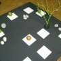 Jardin Zen