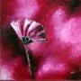 Rosa 2005
