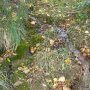 C'est là que l'eau partait dans les champs