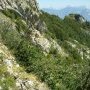22 - Chateau Bouvier