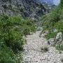 Le chemin du retour