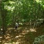 25 - retour en sous-bois