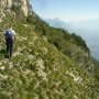 12 - sur la piste des chamois