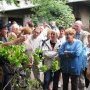 L'histoire de la vigne à Claix