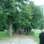 L'allée de tilleuls aux pieds desquels le jeune Stendhal lisait les (…)