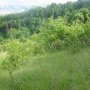 La nature reprend progressivement ses droits