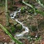 ... bucoliques