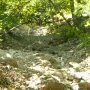 Sur le chemin de la vie,