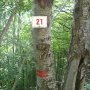 4 - Limite domaniale sur le sentier de la vie