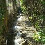 "L'affluent sud" du ruisseau d'Allières