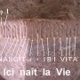 Déchiffrage lettre par lettre de l'inscription en latin gothique du (…)