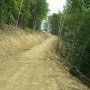 De nouvelles pistes forestières