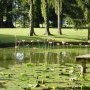 Superbes nénuphars de la Bâtie