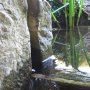 Le réglage du niveau du débit de la cascade