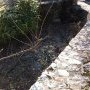 Le bassin en amont de l'usine