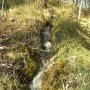 Ici aussi le tuf surélève le ruisseau