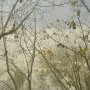 sortie du brouillard