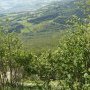 La tourbière vue des falaises de Claix