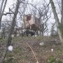 Tiens c'est habité !
