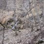 avec une deuxième chute