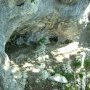 18 - abri pour chamois