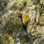 Le ruisseau passe sous le tuf