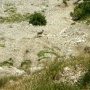 23 - Ils sont là !