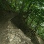 Elargissement du sentier de la vie