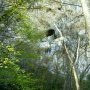 La grotte
