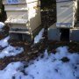 Fin de l'hiver